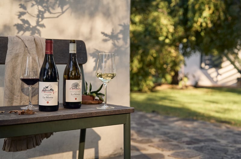 Artistry in the Cellar – La Motte Releases 2020 Pierneef Atelier and 2024 Pierneef Sauvignon Blanc