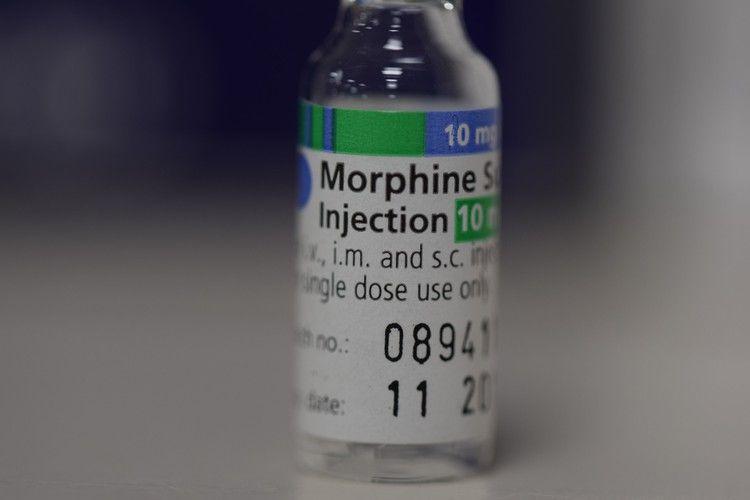 WHO Audit Exposes South Africa's Failing Pediatric Palliative Care Amid Morphine Shortages