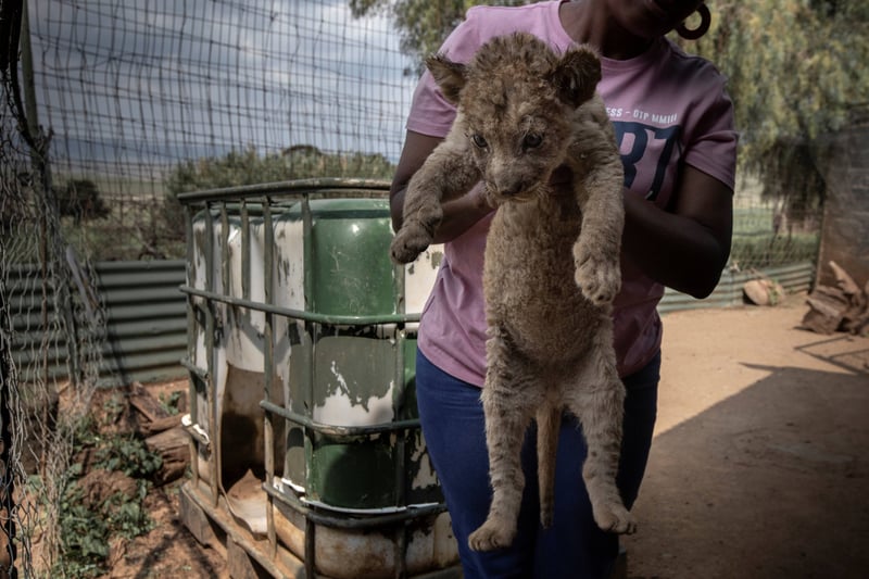 South Africa Marks World Tourism Day 2025 with Call for Ethical Travel