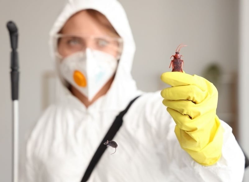 Eco Smart Pest Control Releases Strategic Guide for Property Managers on Building Tenant Satisfaction