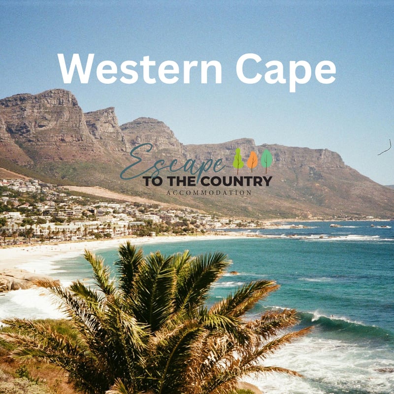 Western Cape Continues to Lead as One of South Africa's Favourite Holiday Destinations