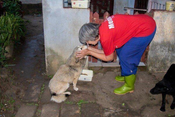 Scottburgh animal rescue appeals for community support as costs of saving lives mount