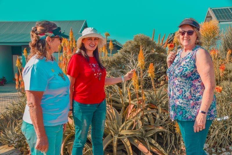 Visitors flock to Renishaw Hills for Botanical Society Winter Gardens