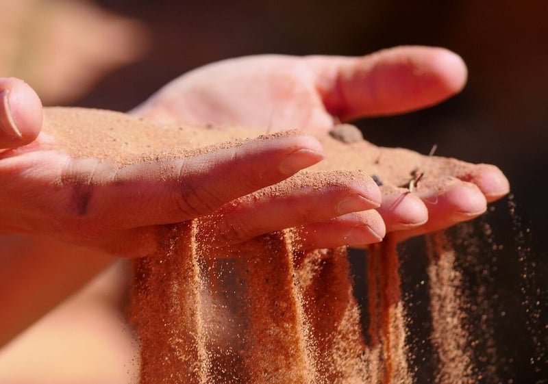 The Narcissistic Relationship - Survival and Healing Goal