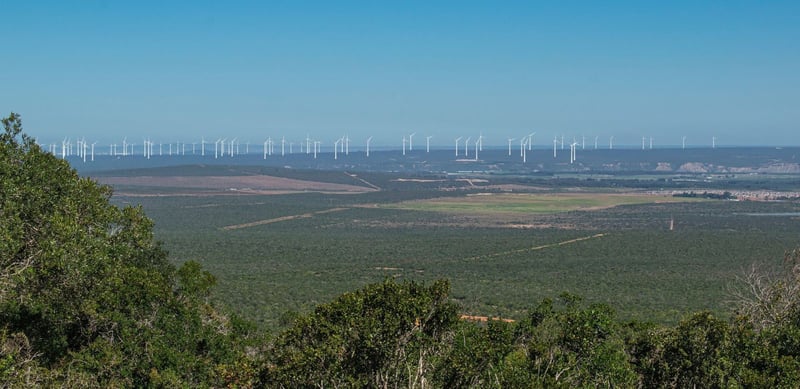 Indalo Association Urges Caution in Albany Wind Farm Development