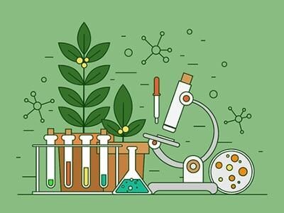 Life Sciences Grade 12 Question Papers and Memorandums Pdf 2021