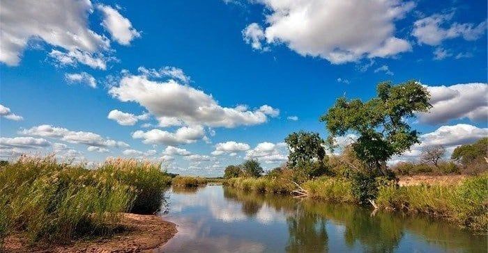 SanParks announces 2026 free day-entry week for South African visitors (Sept 7–11 for select parks)