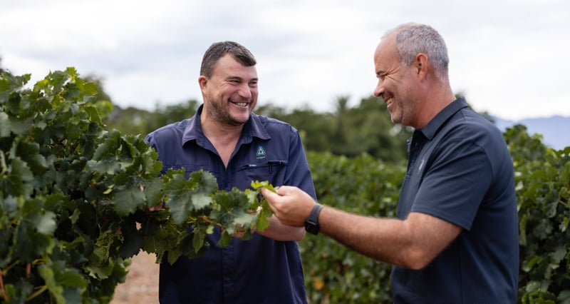 Winemakers Pierre Wahl And Fanie Geyser Unite To Craft Survivor Wines In Paarl