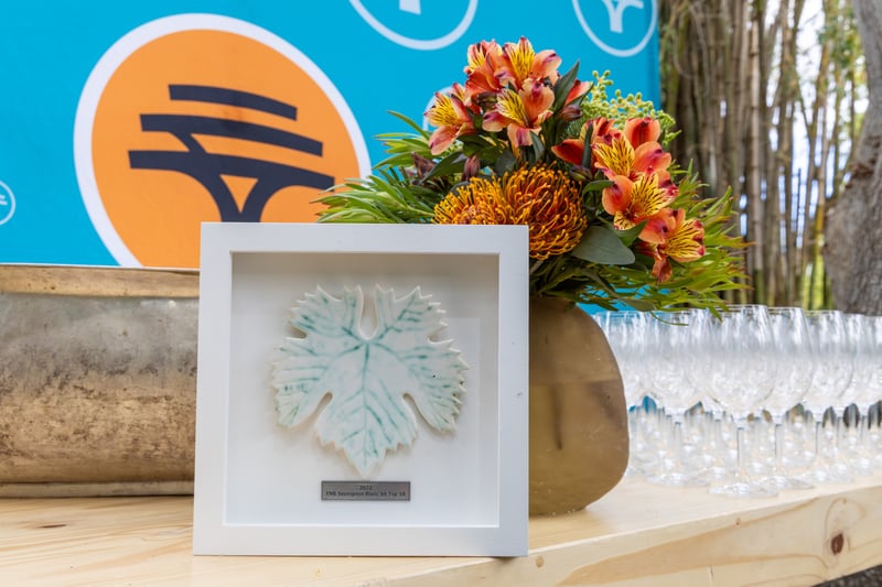 Entries open for 20th FNB Sauvignon Blanc SA Top 10