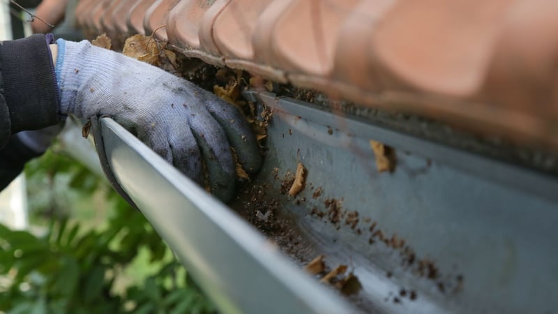 Procrasti-nation - South Africans leave those pesky home maintenance tasks to the last minute