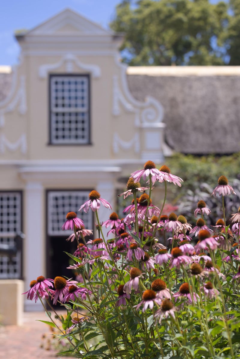 Explore Vergelegen’s spectacular spring gardens
