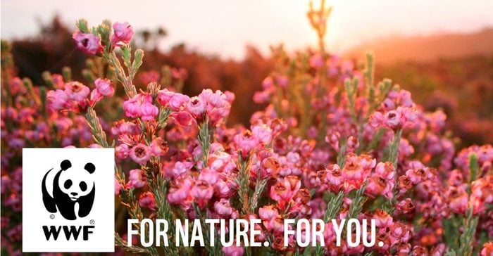 WWF South Africa Partners With Hook, Line & Sinker to Amplify Conservation and Community Impact