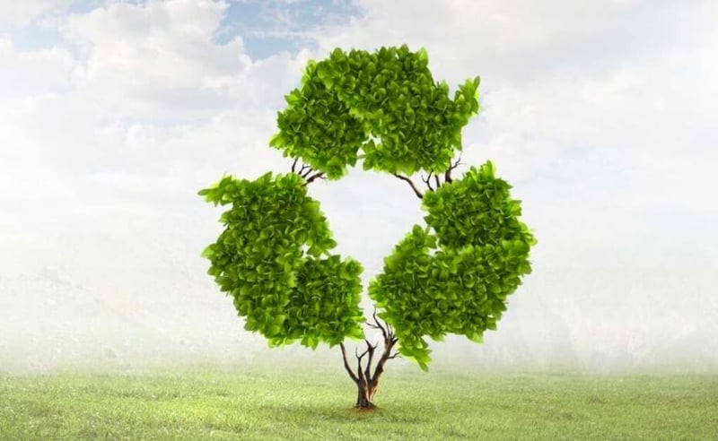 The Profound Importance of Recycling - Preserving Our Planet for Future Generations