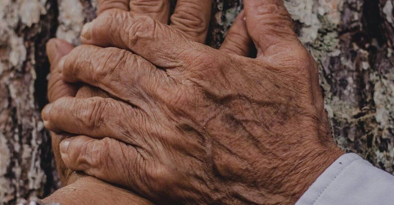 Basic Income Grant Policy Returns To Cabinet For Refinement As DSD Seeks Economic Alignment And Sustainability