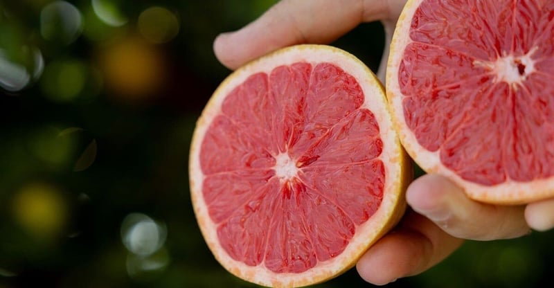 South African Citrus Growers Drive European Repositioning Of Summerstar Ruby Grapefruit
