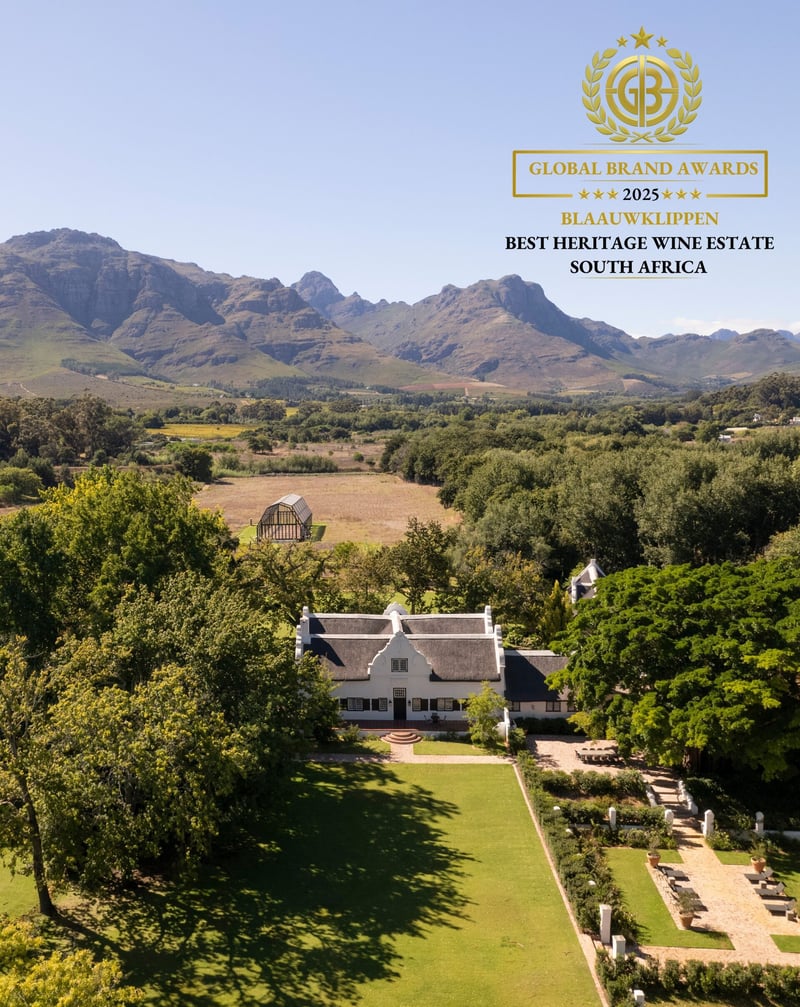 South Africa’s oldest wine estate honoured at the Global Brand Awards