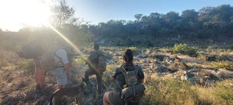 Tchagra Trails Introduces Bushcamp Walking Safaris - Experience Africa’s Wilderness on Foot - Bring Yourself Home