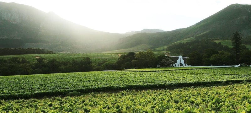 Groot Constantia appoints Dr Edo Heyns as CEO effective 19 October 2026, succeeding Jean Naudé after 24 years