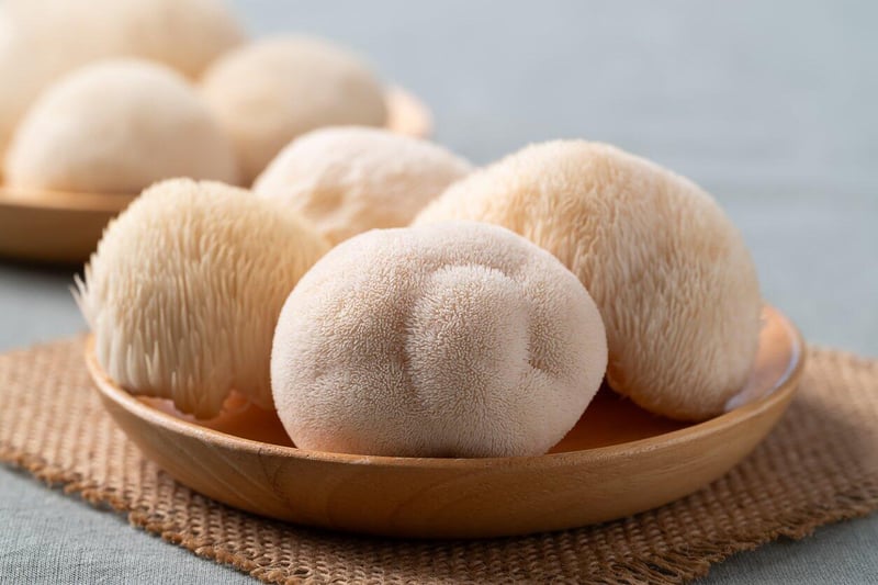 Lion’s Mane - the mushroom supplement everyone is talking about, but few understand