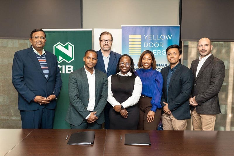 Yellow Door Energy and Nedbank CIB achieve financial close on 49 MWp Lion Thorn Solar Park project