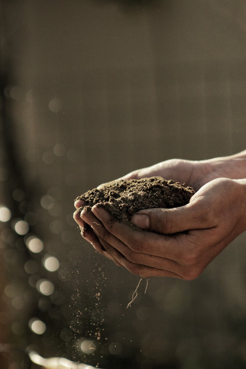 Small is Beautiful - The Power of science to Support small-scale solutions to Soil Erosion