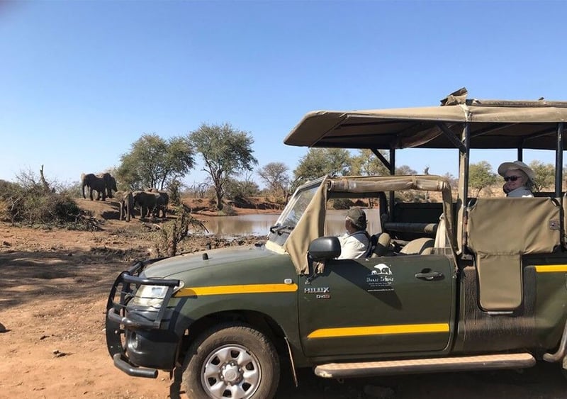 New Safari Packages Now Available in Hoedspruit
