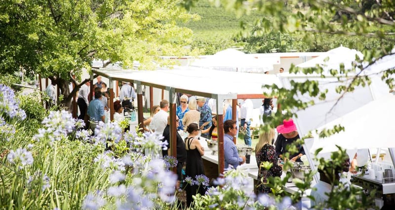 Iconic Nederburg Estate Confirmed As Home Of The Cape Wine Auction Supporting Education And Growth