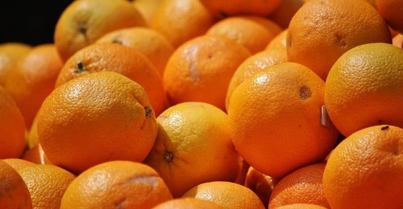 Govt Backs Citrus Exports With R51bn Transnet Guarantee