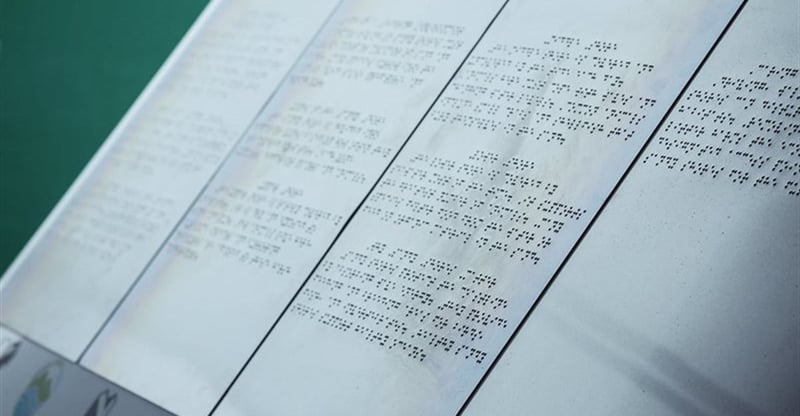 Nedbank Backed Pilot Sets National Benchmark For Inclusive Access To Natural Spaces