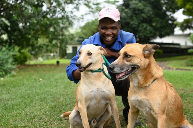 Animal Anti-Cruelty League Durban Calls for Compassion on International Animal Rights Day