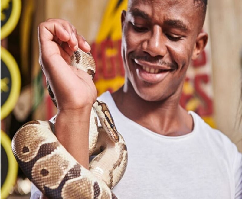 Saving South African Snakes