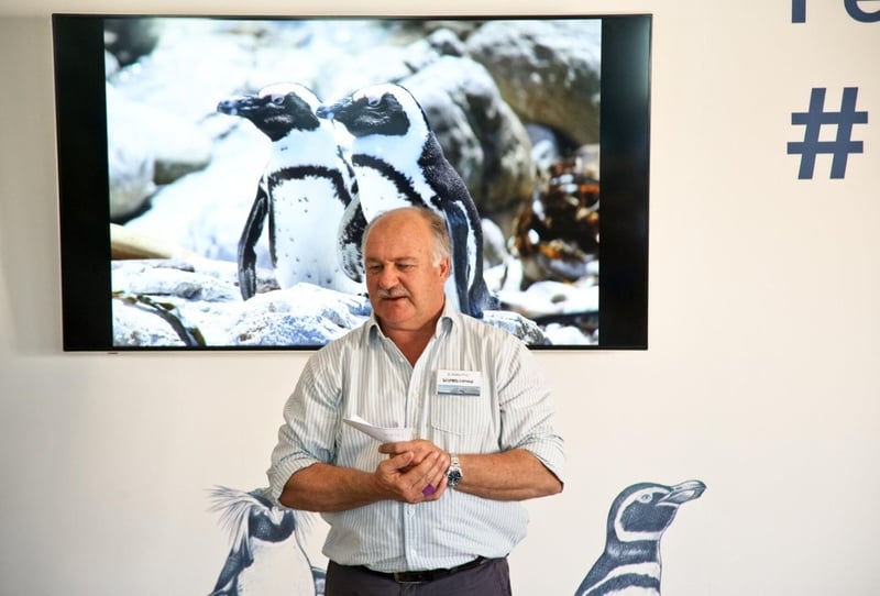 Think Ocean Conservation Is Only for Marine Biologists? Think Again!