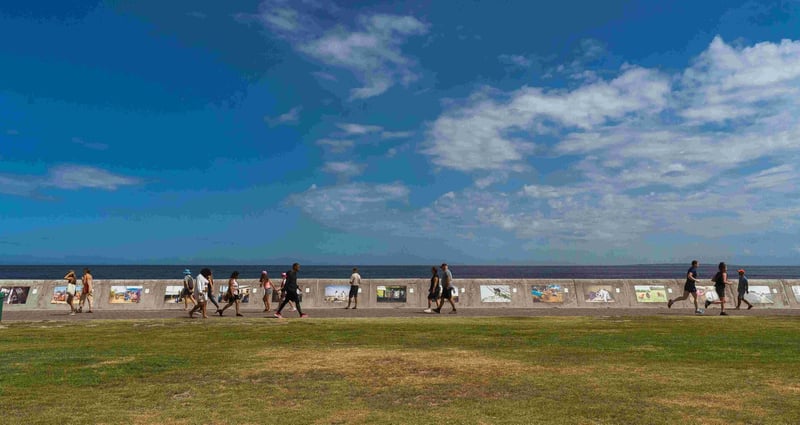 ORMS x Canon - The Art of Photography. The Sea Point Promenade Photographic Exhibition Competition is Back!