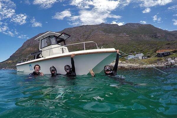 Oceans Africa Announces the Opening of the 2025/26 Summer Season for Diving in Cape Town