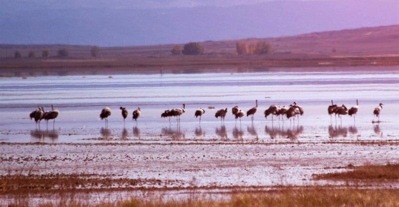 DFFE Strengthens Environmental Funding Through Identified Biodiversity Projects And Revenue Strategies