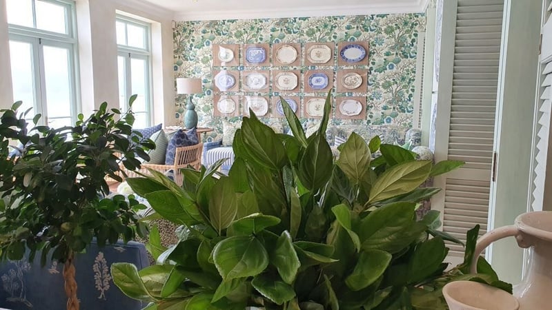 The Liz McGrath collection unveils new-look interiors at the Plettenberg and The Marine