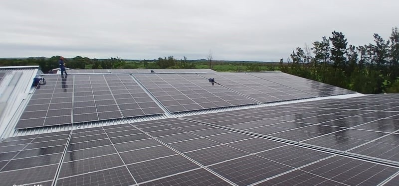 G3 Citrus Boosts Sustainability with Major Solar Upgrade
