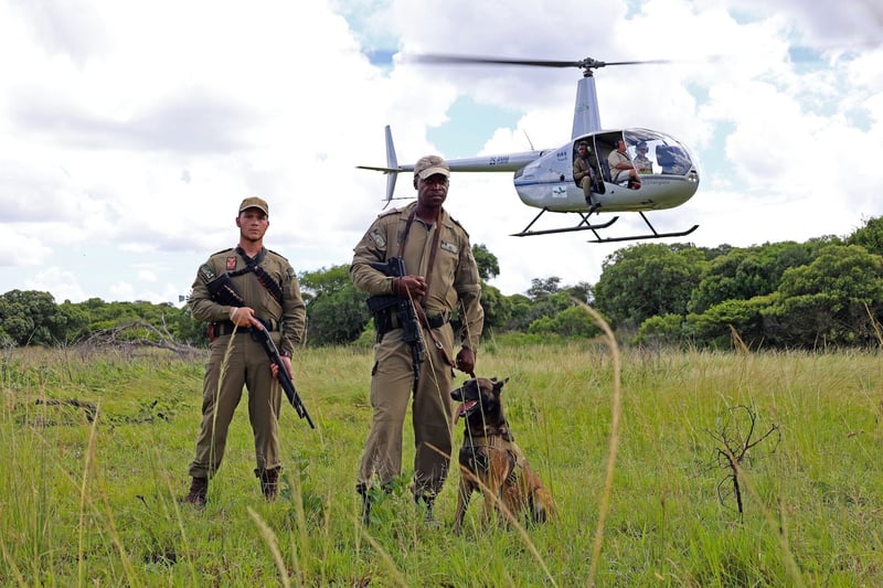 PROJECT RHINO - Rhinos Needs Your Vote