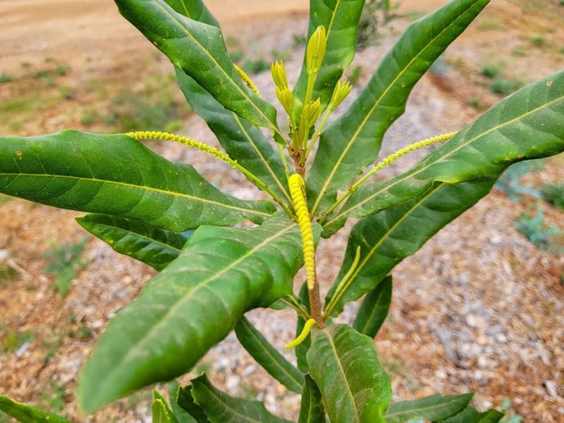 Roam free, break free with Simbini Lifestyle Estate