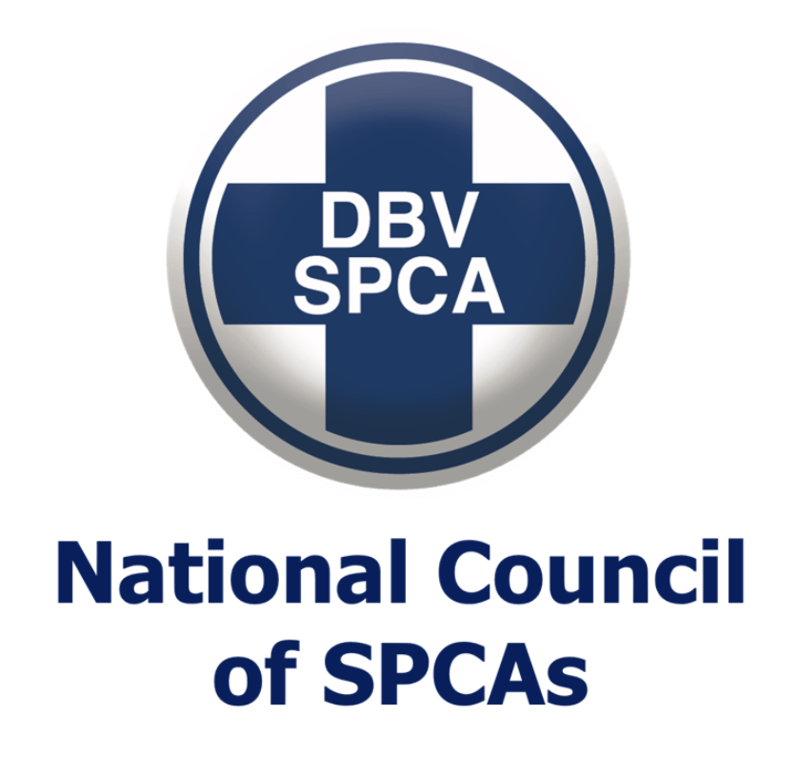 NSPCA Calls for Urgent Action to Protect Racehorses Following Meeting with NHA