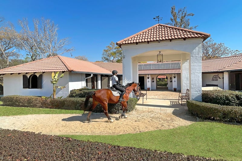 Kyalami horse hotel trials revolutionary stable tiles from tyre recycler Mathe Group