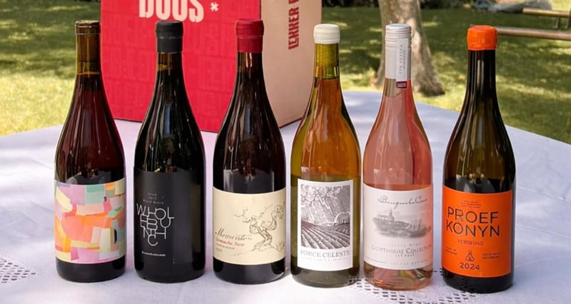 Wine Industry Urged To Rethink Language And Lifestyle Appeal To Win Over Younger Drinkers