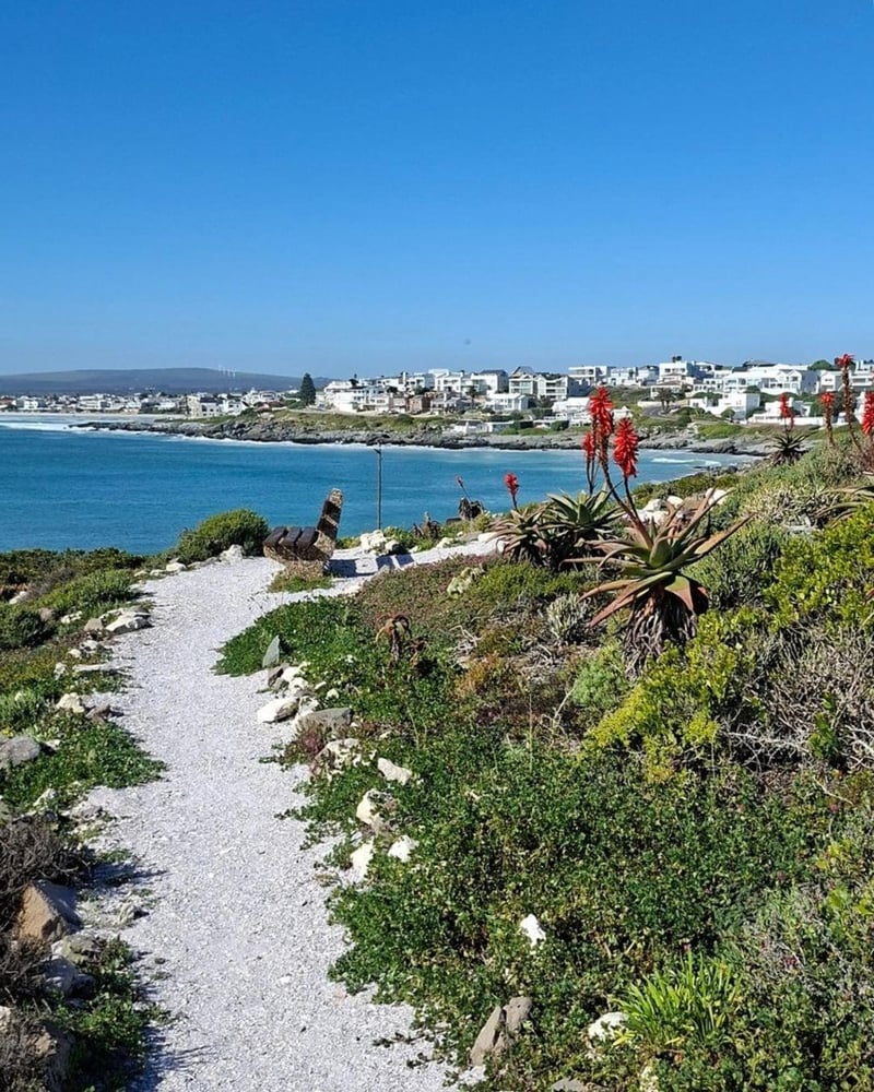 West Coast Way promotes Cape West Coast road trips beyond AI itineraries, highlighting six themed routes and over 101 local experiences