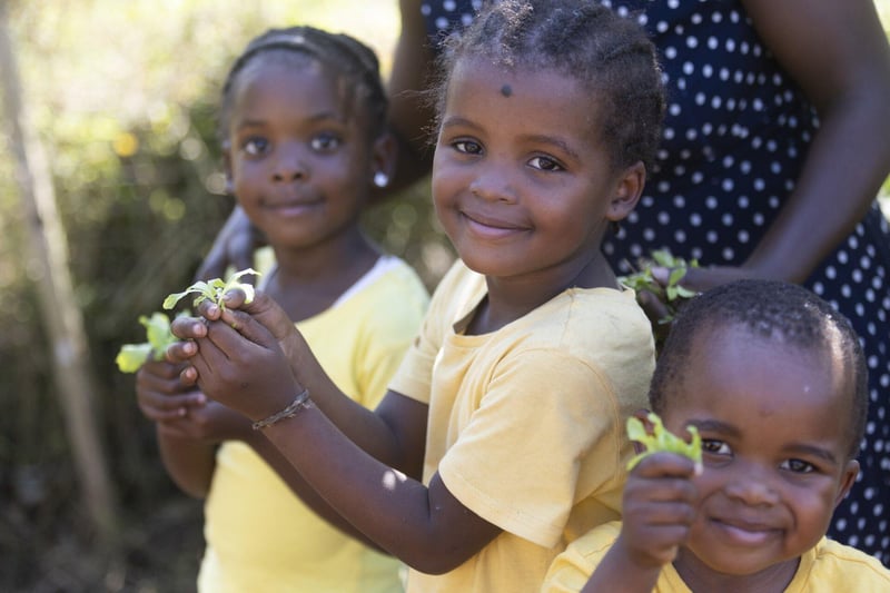 What Does It Really Cost to Feed a Young Child Well?