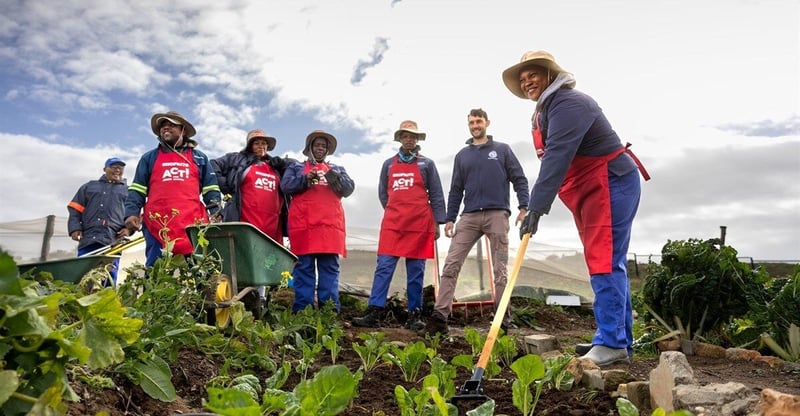 Cape Agulhas Project Turns Household Food Waste Into Compost and Local Vegetable Production