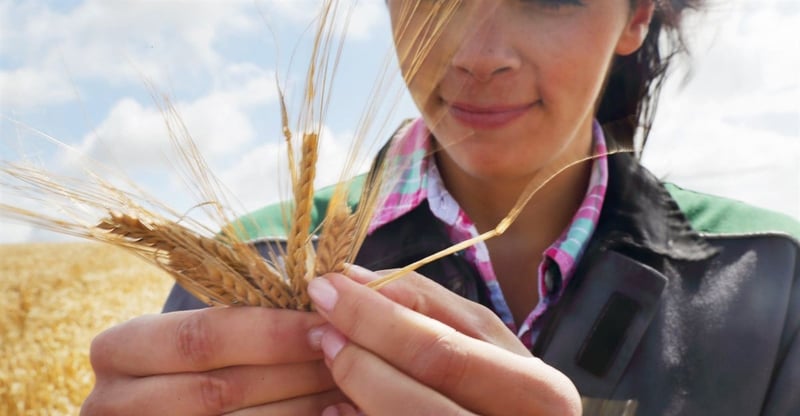 Women Power Agriculture As They Shape Growth And Strengthen Communities Across South Africa