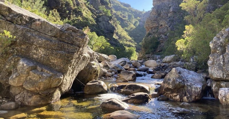 New Bond To Fund Ecological Restoration And Water Catchment Protection In South Africa