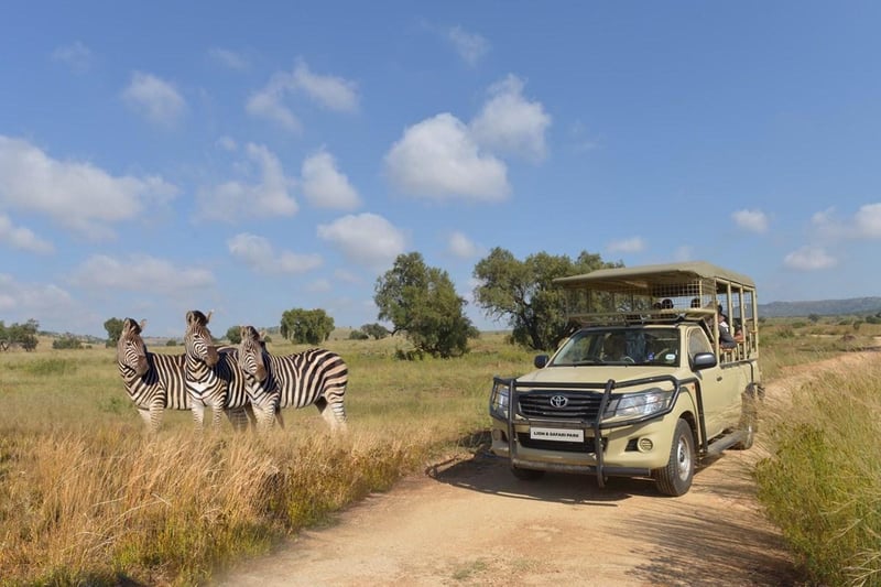 Bothongo Rhino & Lion Nature Reserve Shows How Safari Tourism Can Boost Conservation Awareness Through Education and Heritage