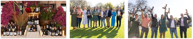 Ghost Corner Sémillon named Top Wine as SA Terroir Awards crown 38 national winners; Arbeidsgenot, Bon Courage and Botrivier among top trophy recipients