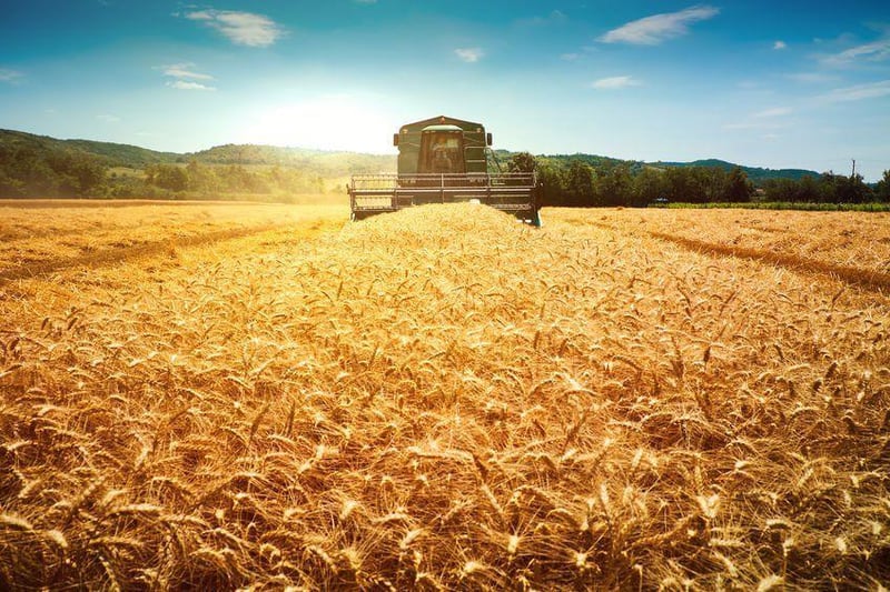 Land Bank and Department of Land Reform Sign R500m Grant Agreement to Expand Blended Finance Scheme for Farmers
